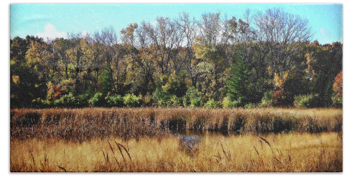 Photography Bath Towel featuring the photograph Autumn in the Wetlands by Frank J Casella