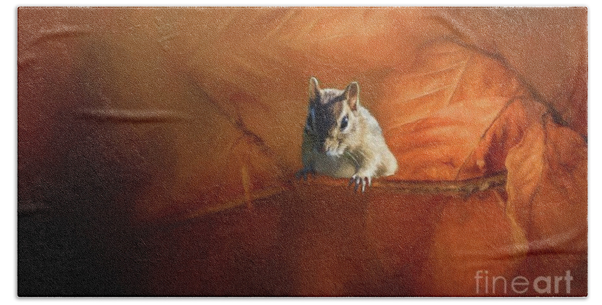 Chipmunk Hand Towel featuring the photograph Autumn in the Woods by Eva Lechner