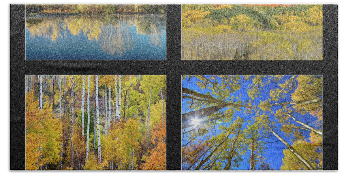 Colorado Bath Towel featuring the photograph Autumn by James BO Insogna