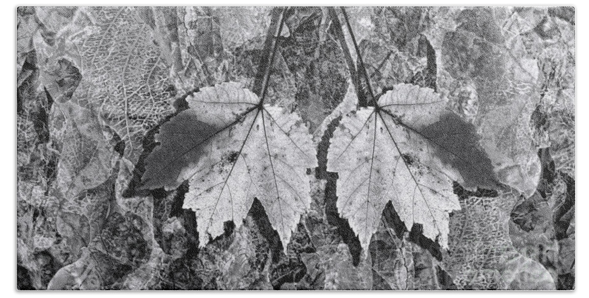 Autumn Hand Towel featuring the photograph Autumn Leaf Abstract In Black and White by Jeff Breiman