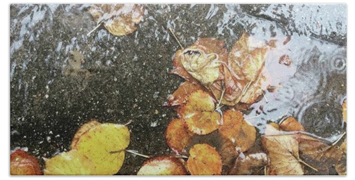 Leaf Bath Towel featuring the photograph #autumn #leaves #variation
#season by Oksana Nepyipyvo