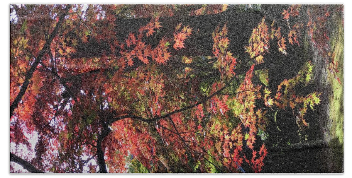  Bath Towel featuring the photograph Autumn leaves by Yoshinobu Mutou