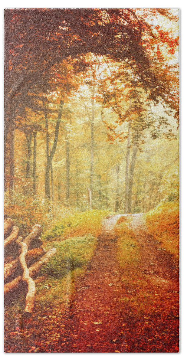 Autumn Hand Towel featuring the photograph Autumn Lights by Philippe Sainte-Laudy