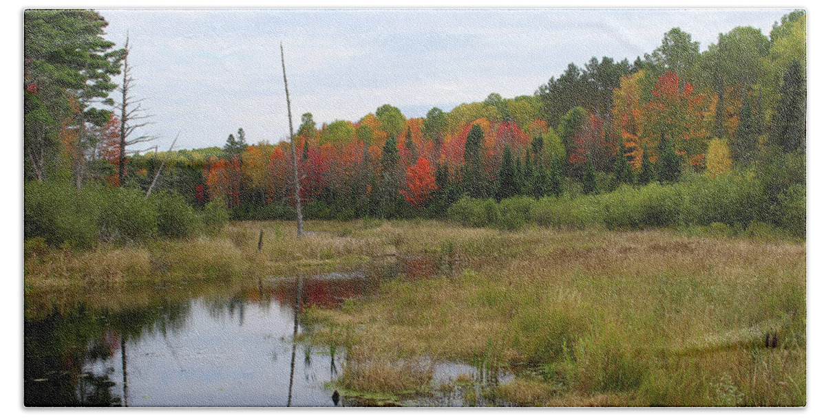 Autumn Bath Towel featuring the photograph Autumn Marsh View by Brook Burling