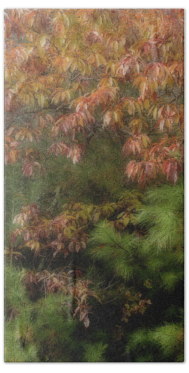Leaves Bath Towel featuring the photograph Autumn Mixing by Mike Eingle