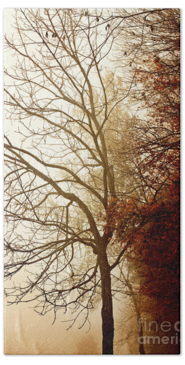 Tree Hand Towel featuring the photograph Autumn Morning by Stephanie Frey
