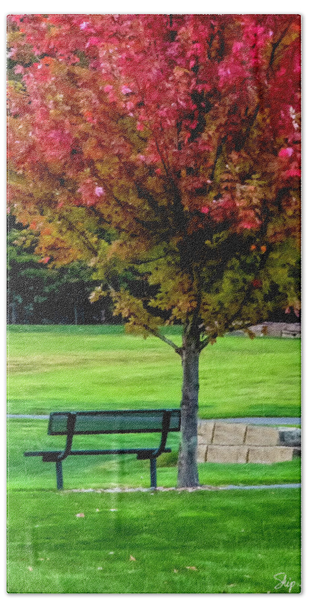 Autumn Hand Towel featuring the photograph Autumn Park by Skip Tribby