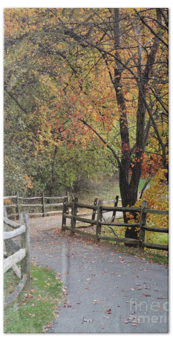 Autumn Hand Towel featuring the photograph Autumn Path in Park in Maryland by William Kuta