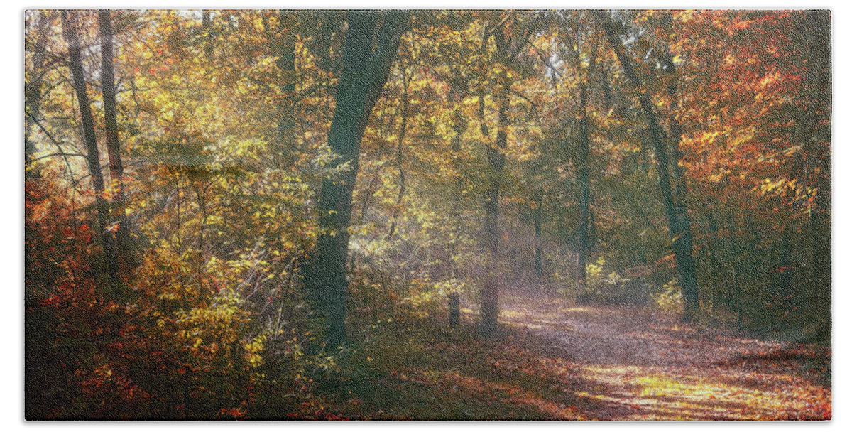 Autumn Hand Towel featuring the photograph Autumn Path by Scott Norris