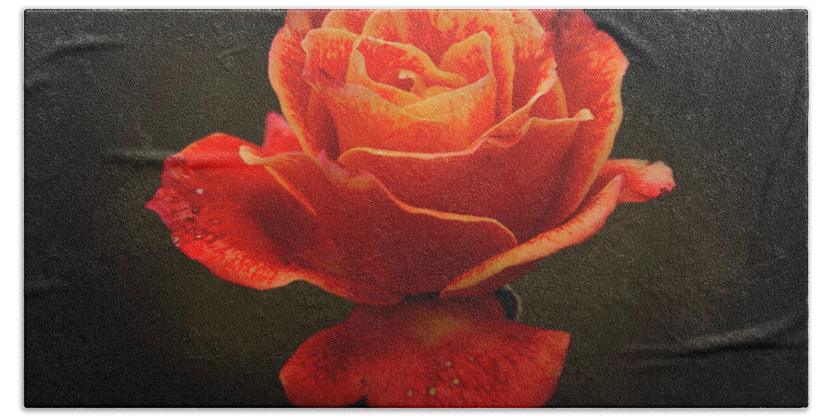 Rose Bath Towel featuring the photograph Autumn Rose by Inge Riis McDonald