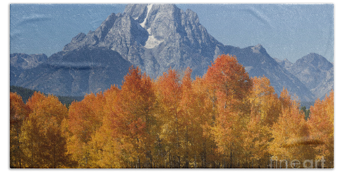 Grand Teton Hand Towel featuring the photograph Autumn Splendor In Grand Teton by Sandra Bronstein