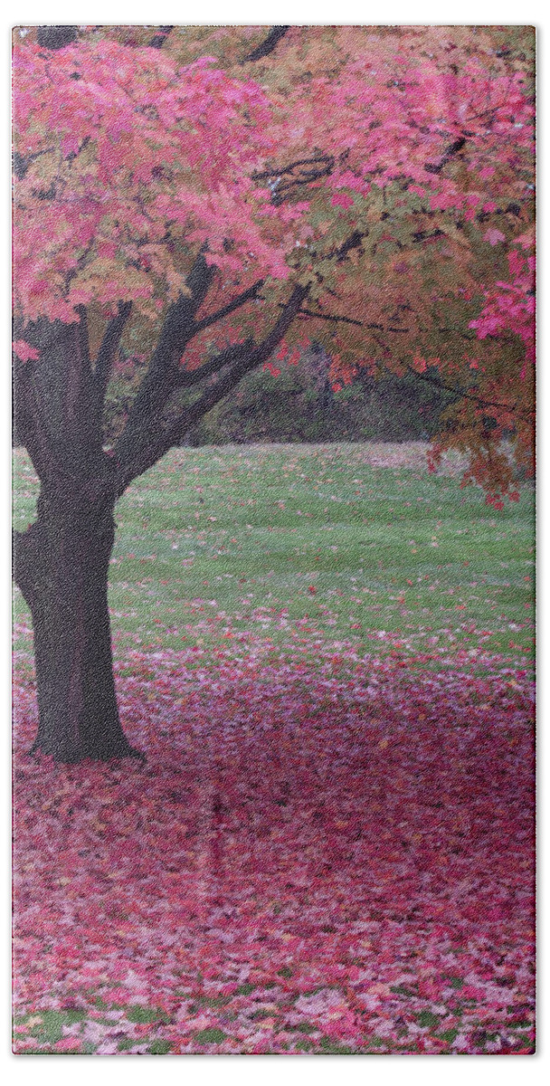 Cleveland Bath Towel featuring the photograph Autumn by Stewart Helberg