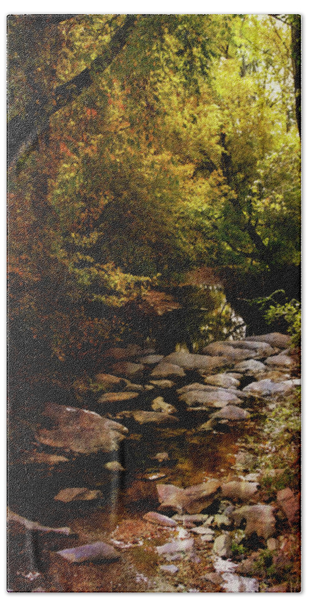 Autumn Stream Bath Towel featuring the photograph Autumn Stream 6163 H_2 by Steven Ward