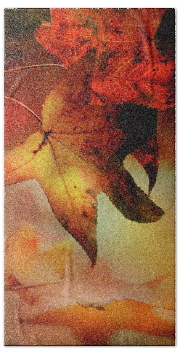 Autumn Bath Towel featuring the photograph Autumn Takes Hold by Diana Angstadt