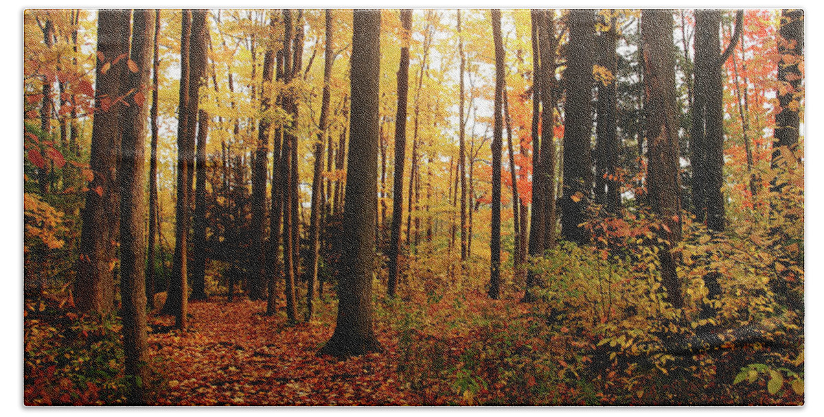 Autumn Bath Towel featuring the photograph Autumn Woods by Debbie Oppermann