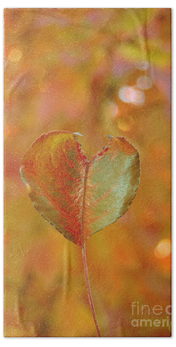 Heart Bath Towel featuring the photograph Autumn's Golden Splendor by Debra Thompson