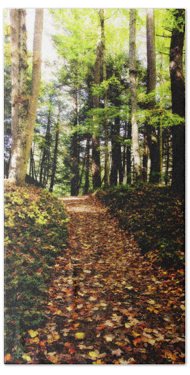 Fall Hand Towel featuring the photograph Autumn's Trail by Trina Ansel