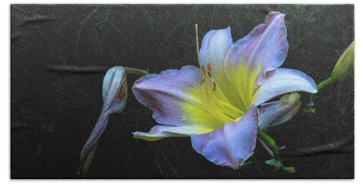 Hayward Garden Putney Vermont Bath Towel featuring the photograph Awesome Daylily by Tom Singleton