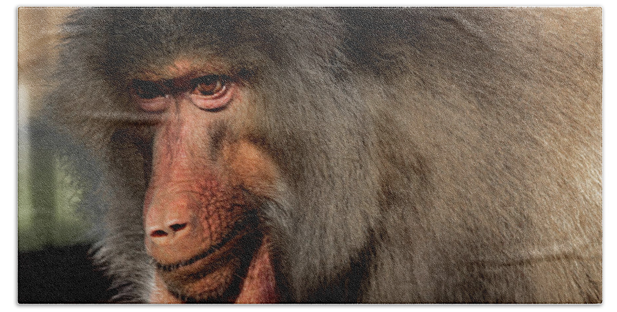 Jay Stockhaus Bath Towel featuring the photograph Baboon by Jay Stockhaus