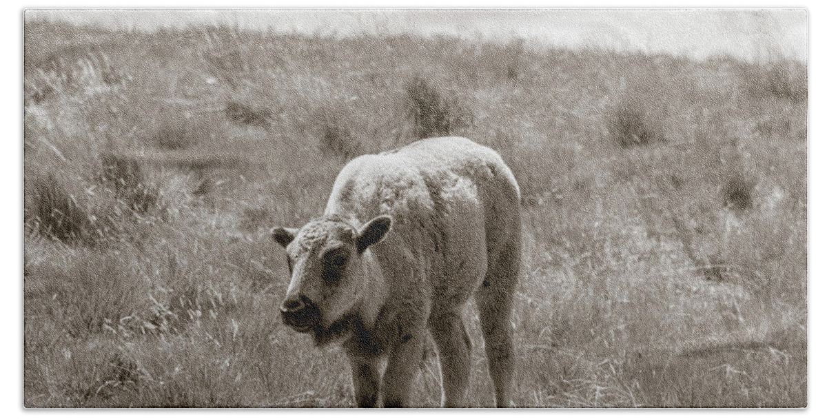 Buffalo Bath Towel featuring the photograph Baby buffalo in field with sky by Rebecca Margraf