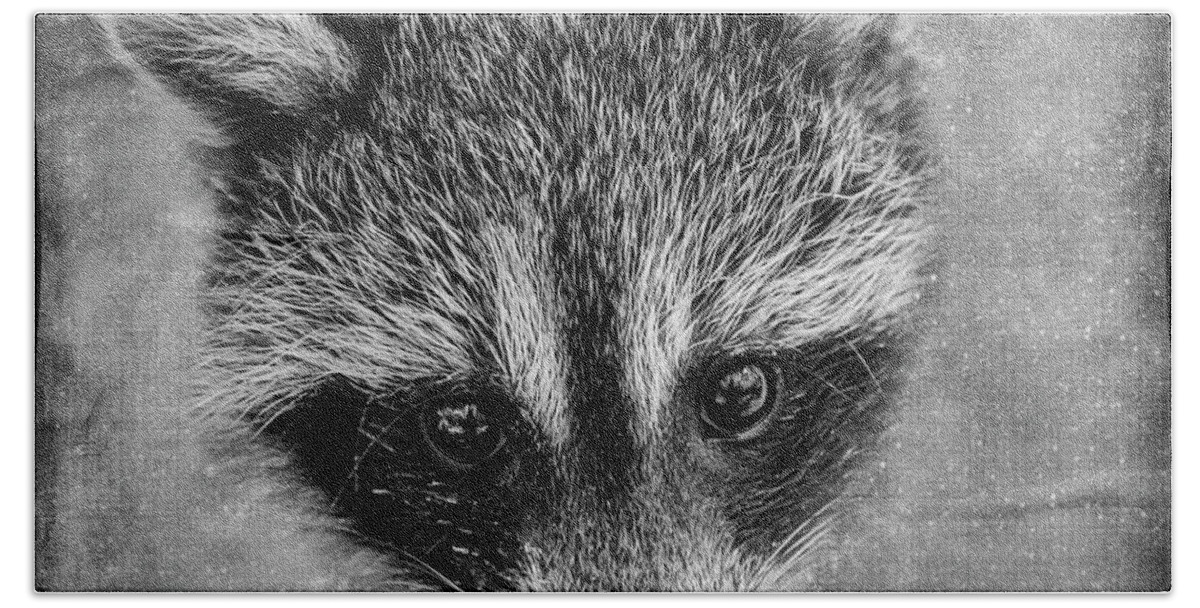 Raccoon Hand Towel featuring the photograph Baby Face by Peg Runyan