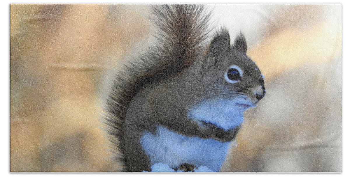 Red Squirrel Hand Towel featuring the photograph Baby It's Cold Outside by Betty-Anne McDonald