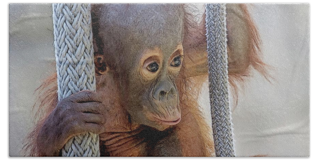 Orangutan Hand Towel featuring the digital art Baby Orang by Larry Linton