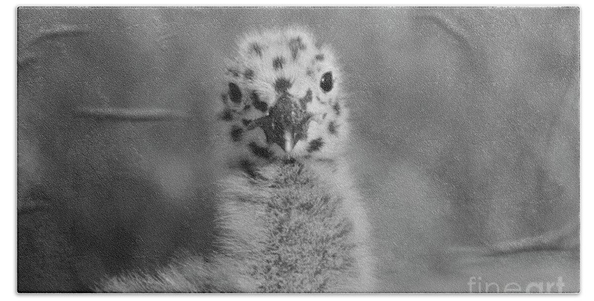 Birds Bath Towel featuring the photograph Spots by John F Tsumas