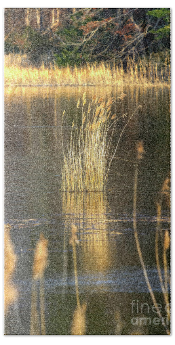 James River Bath Towel featuring the photograph Back River Reflection Virginia II by Karen Jorstad