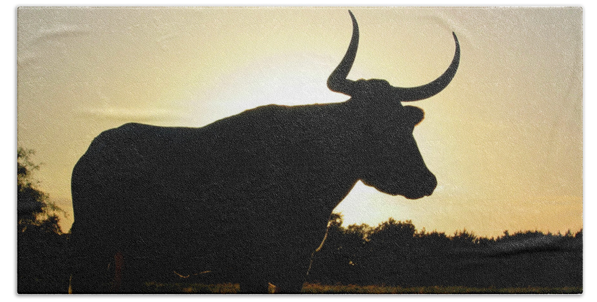 Backlit Bath Towel featuring the photograph Backlit Longhorn by Ted Keller