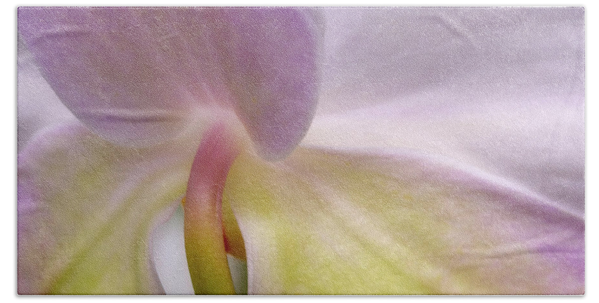 Orchids Bath Towel featuring the photograph Backlit Orchid by Michael Hubley