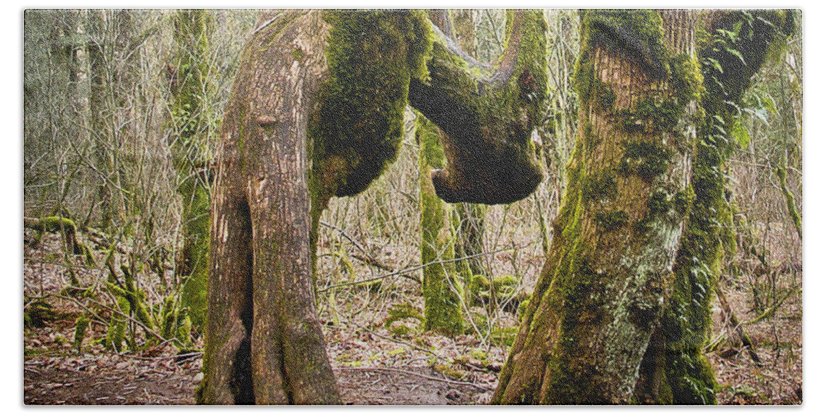 Trees Hand Towel featuring the photograph Bad Back by Albert Seger