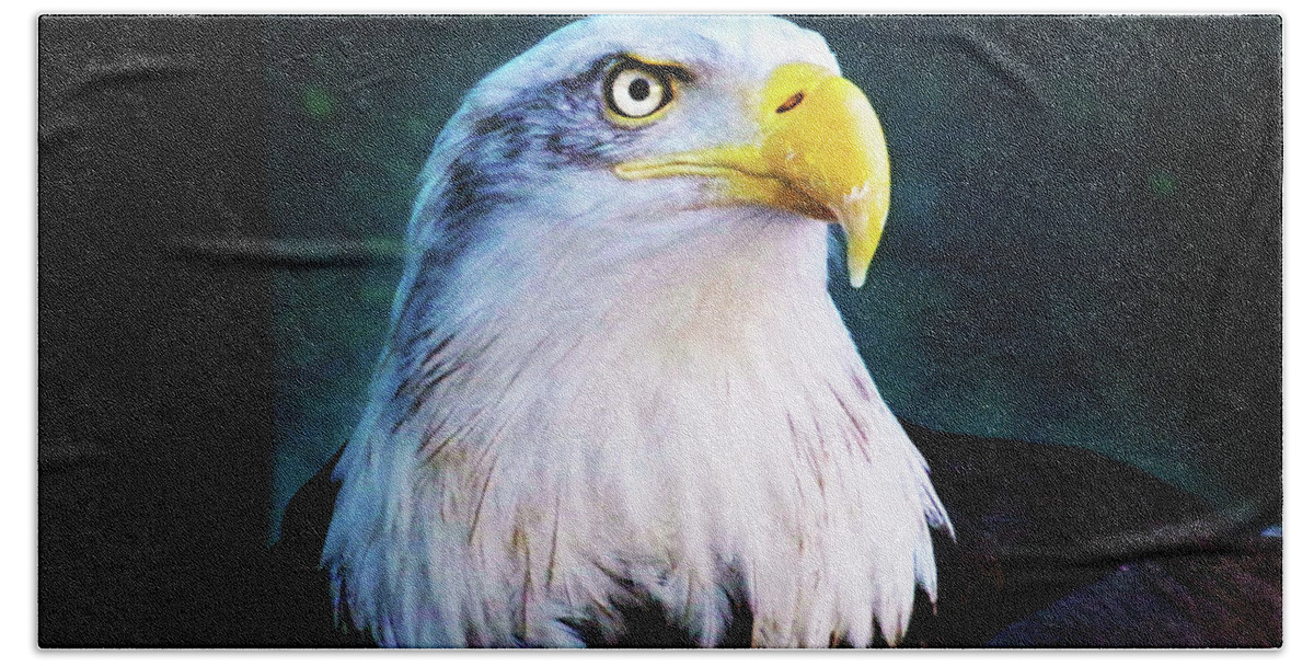 Eagle Hand Towel featuring the photograph Bald Eagle Close UP by Anthony Jones