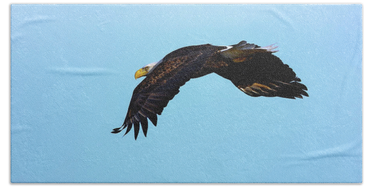 Usa Hand Towel featuring the photograph Bald Eagle Horizons by Patrick Wolf