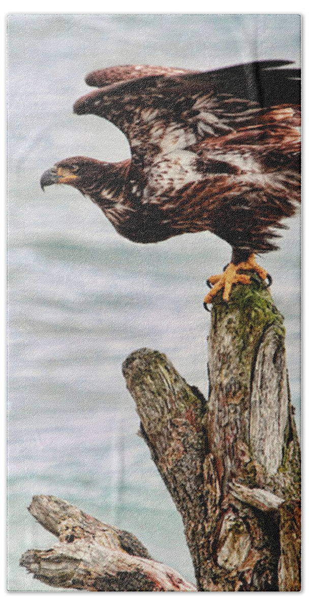 Bald Eagle Bath Towel featuring the photograph Bald Eagle on Driftwood at the Beach by Peggy Collins