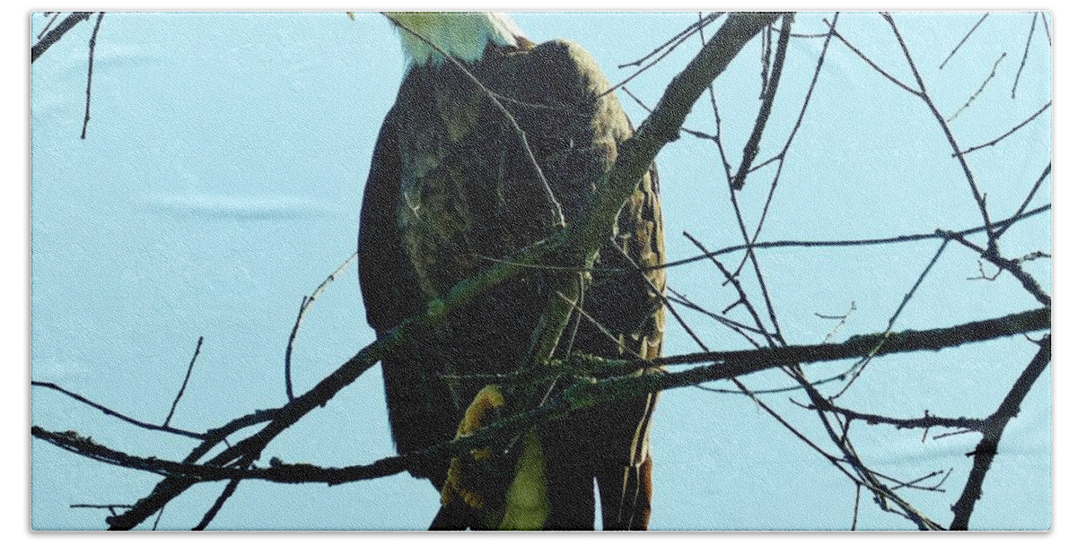 Eagle Bath Towel featuring the photograph Bald Eagle Over The Root River by Rosanne Licciardi