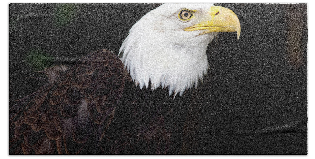 The Animal Hand Towel featuring the digital art Bald Eagle - PNW by Birdly Canada