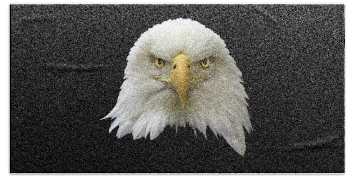 Bald Eagle Bath Towel featuring the photograph Bald Eagle by Shane Bechler