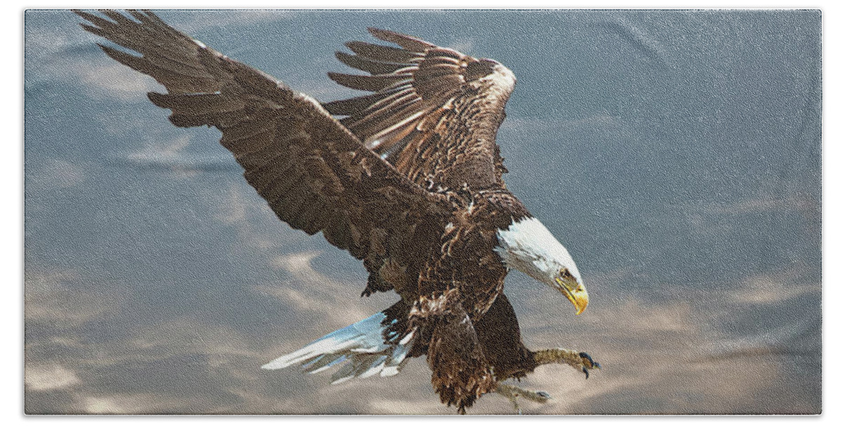 Bald Eagle Bath Towel featuring the photograph Bald eagle swooping by Brian Tarr