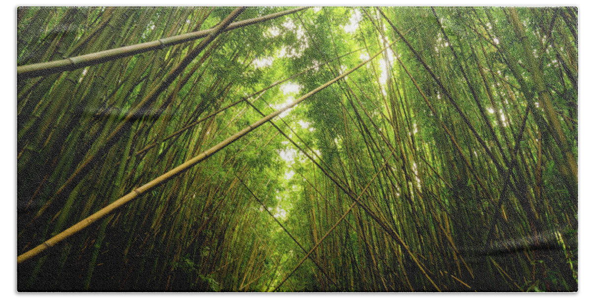 Bamboo Hand Towel featuring the photograph Bamboo Forest by Christopher Johnson
