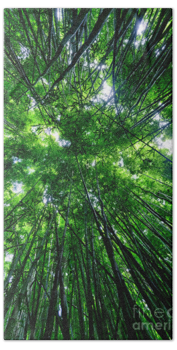 Bamboo Bath Towel featuring the photograph Bamboo Forest by Eddie Yerkish