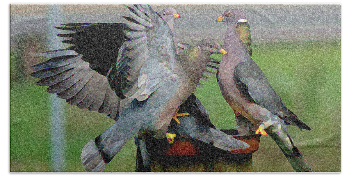Birds Hand Towel featuring the photograph Band-Tailed Pigeons #1 with Text by Ben Upham III