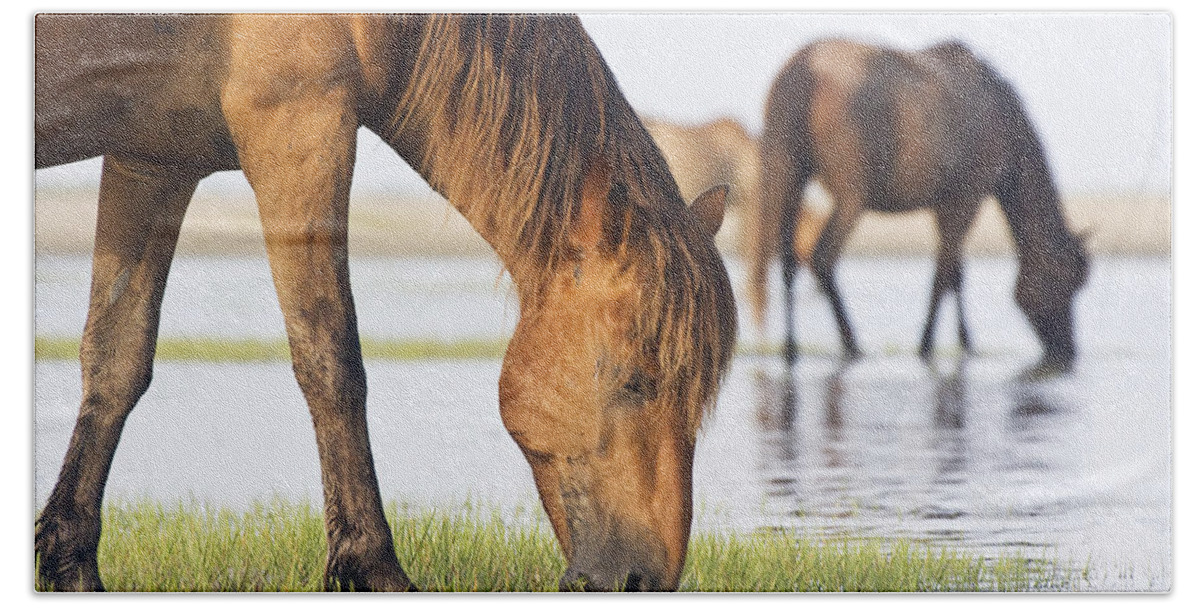 Wild Hand Towel featuring the photograph Banker Horses on Tidal Flat by Bob Decker