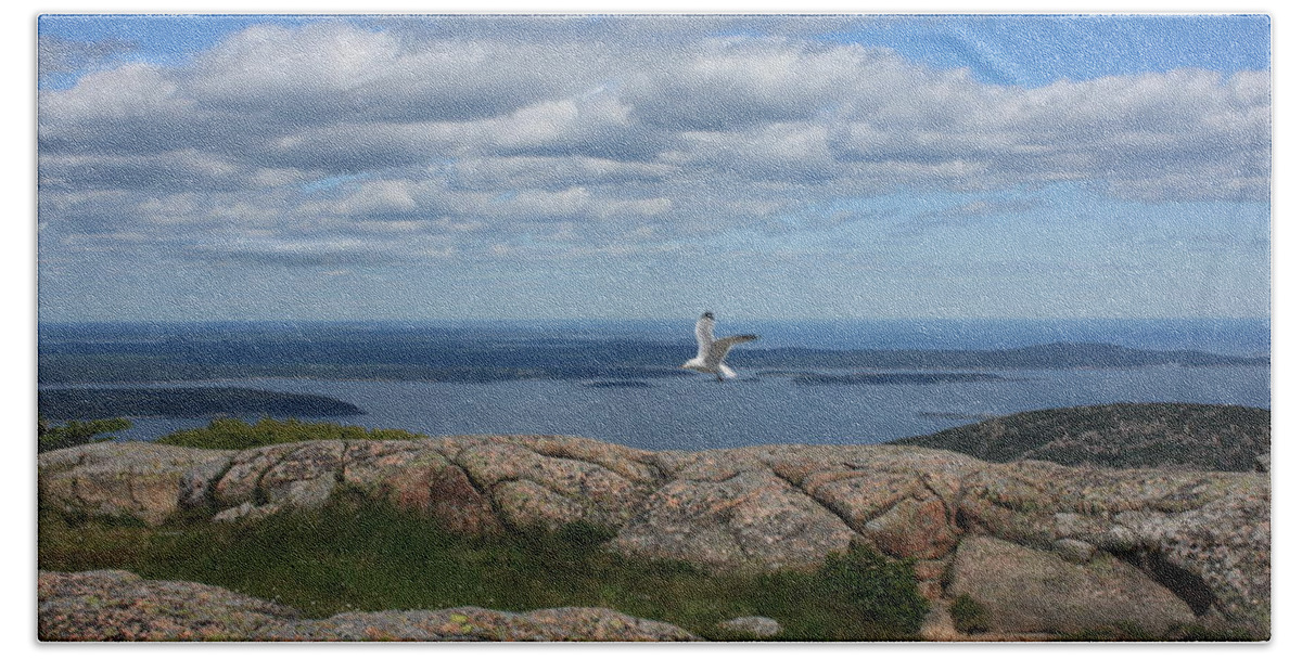 Seagull Bath Towel featuring the photograph Bar Harbor view from Cadillac by Barbara Smith-Baker
