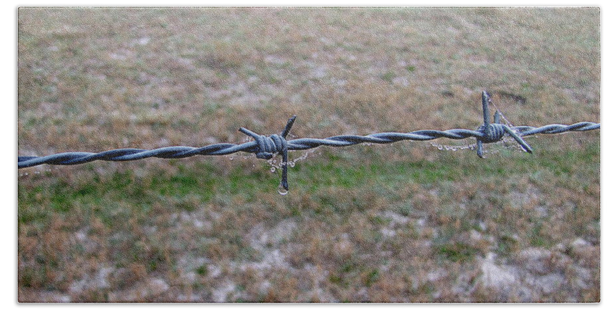 Barbed Wire Hand Towel featuring the photograph Barbed Wire Fence by Christopher Mercer