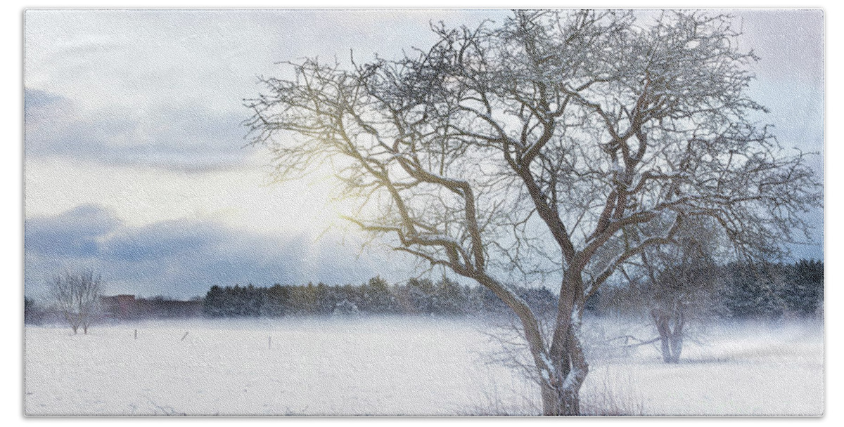 Snow Bath Towel featuring the photograph Bare tree in a snow field with sunrise by Simon Bratt
