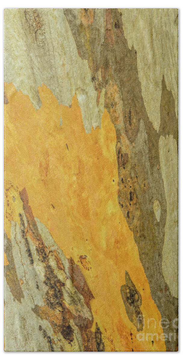 Tree Bath Towel featuring the photograph Bark A10 by Werner Padarin