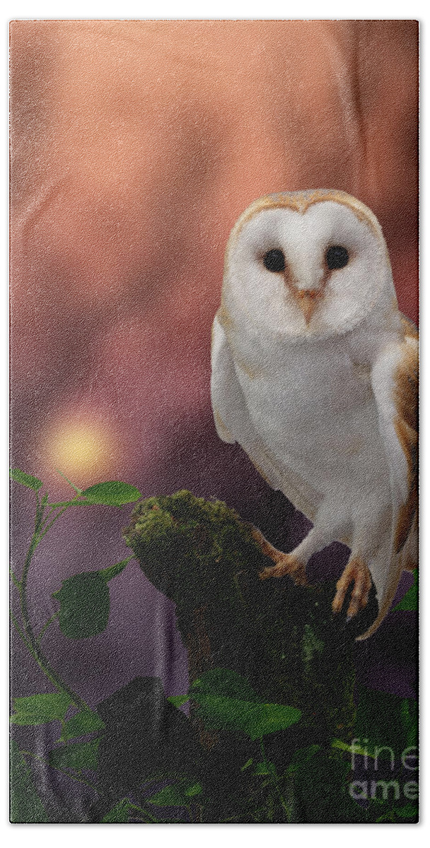 Barn Owl Hand Towel featuring the photograph Barn Owl at sunset by Warren Photographic