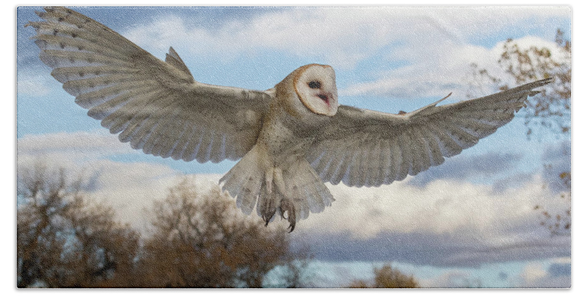 Barn Owl Bath Towel featuring the photograph Barn Owl Makes a Happy Landing by Tony Hake