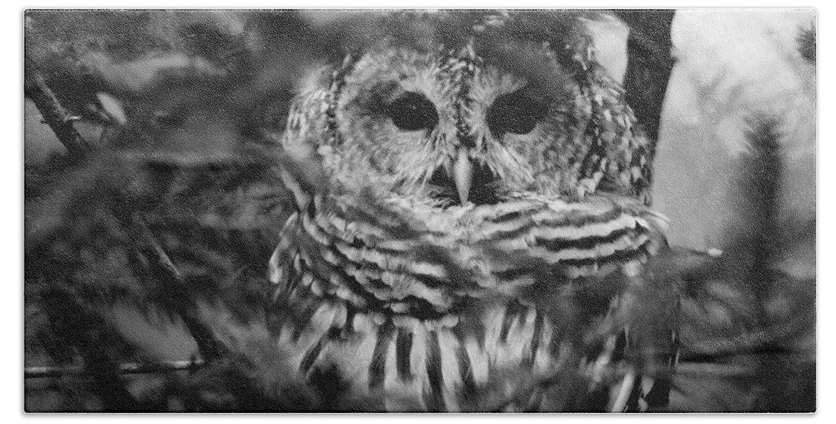 Barred Owl In Thought Bath Towel featuring the photograph Barred Owl in Black and White by Tracy Winter